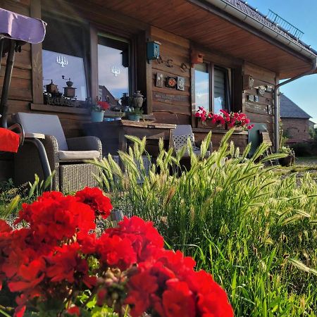 Dom Goscinny Ptaszarnia - Natura-Free Parking Swinoujscie Kültér fotó