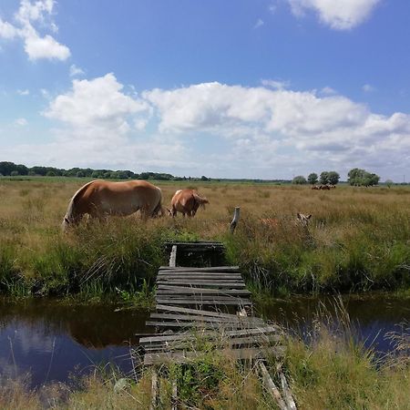Dom Goscinny Ptaszarnia - Natura-Free Parking Swinoujscie Kültér fotó