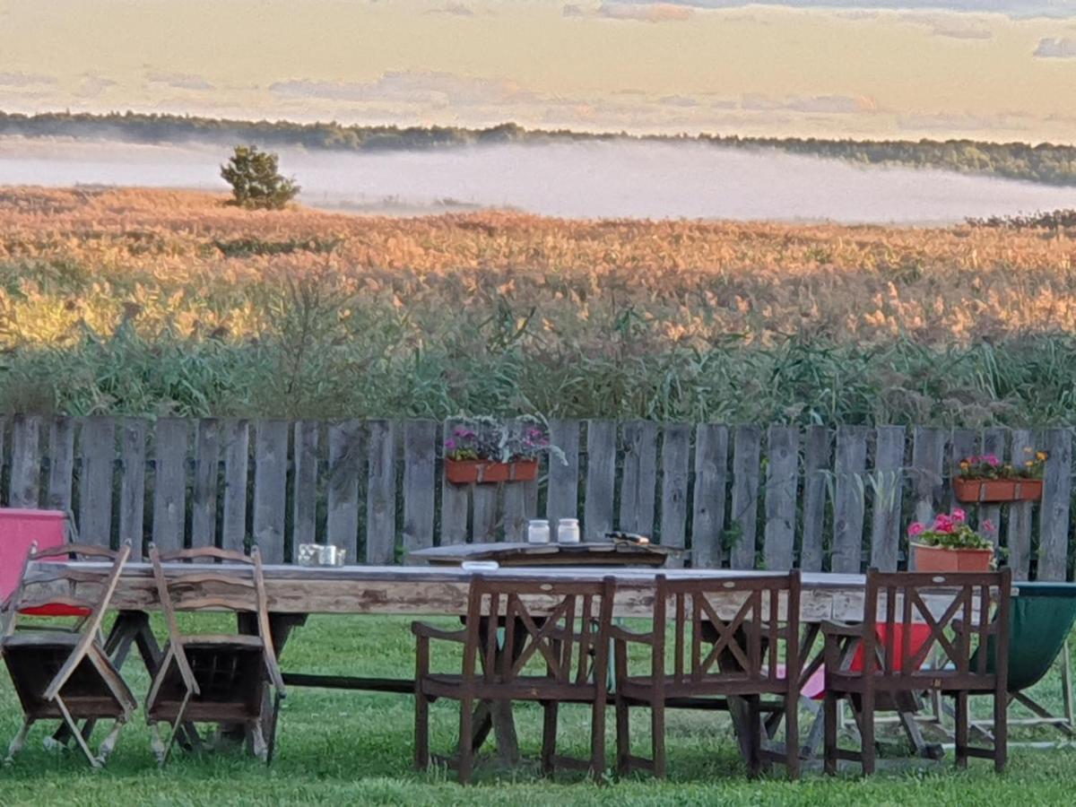 Dom Goscinny Ptaszarnia - Natura-Free Parking Swinoujscie Kültér fotó