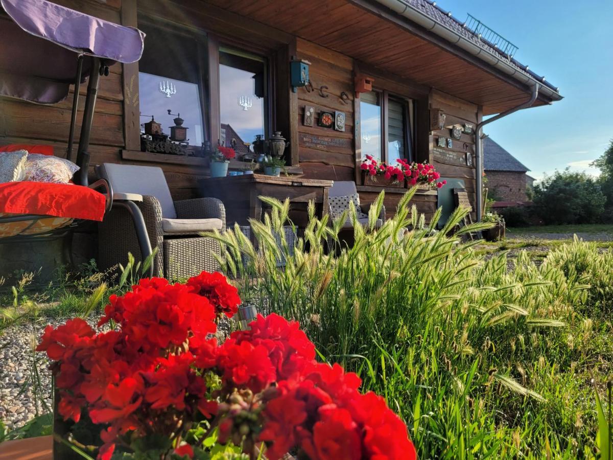 Dom Goscinny Ptaszarnia - Natura-Free Parking Swinoujscie Kültér fotó