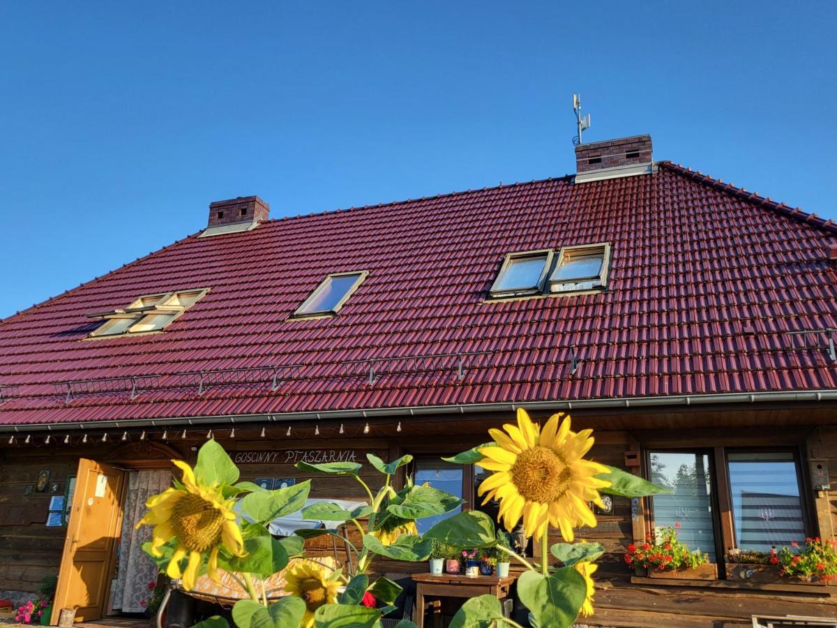 Dom Goscinny Ptaszarnia - Natura-Free Parking Swinoujscie Kültér fotó