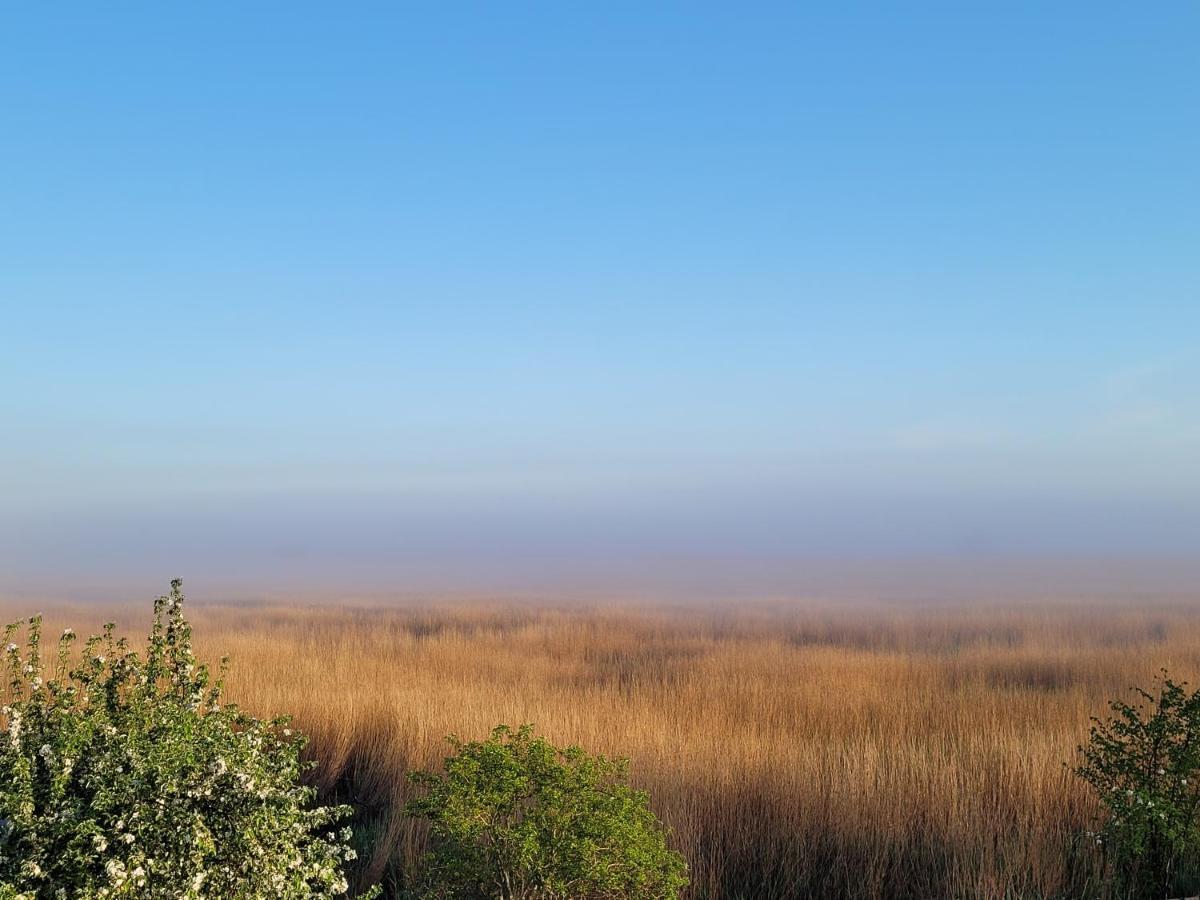 Dom Goscinny Ptaszarnia - Natura-Free Parking Swinoujscie Kültér fotó
