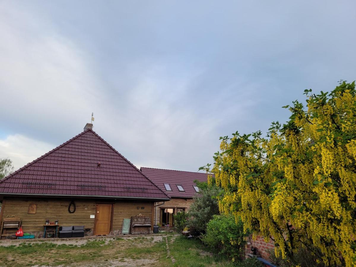 Dom Goscinny Ptaszarnia - Natura-Free Parking Swinoujscie Kültér fotó