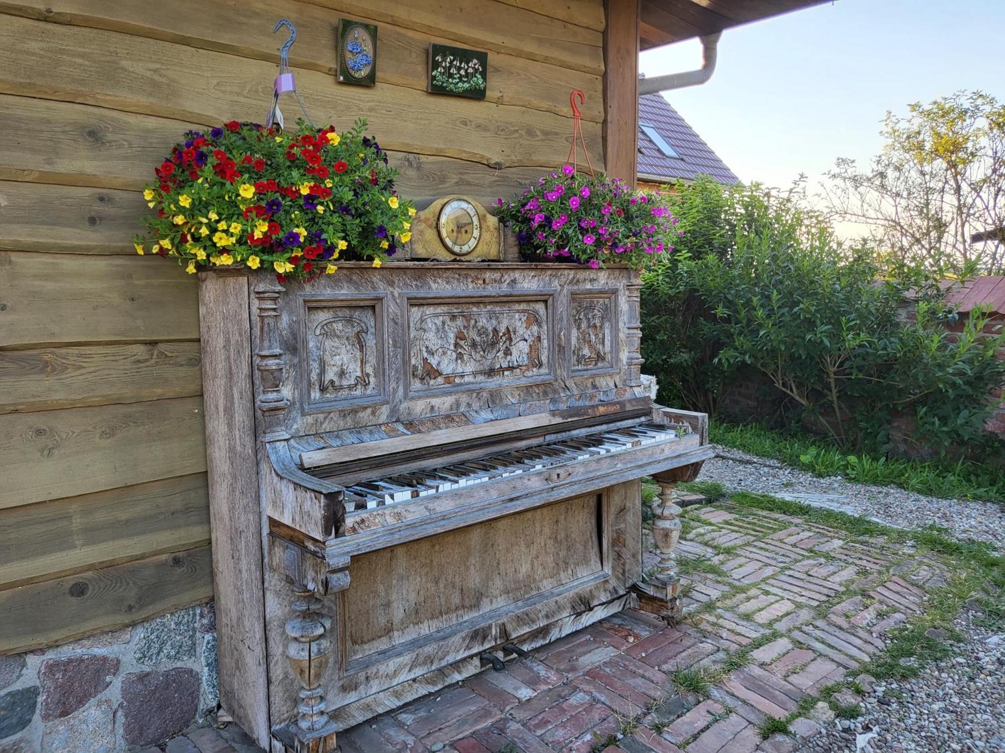 Dom Goscinny Ptaszarnia - Natura-Free Parking Swinoujscie Kültér fotó